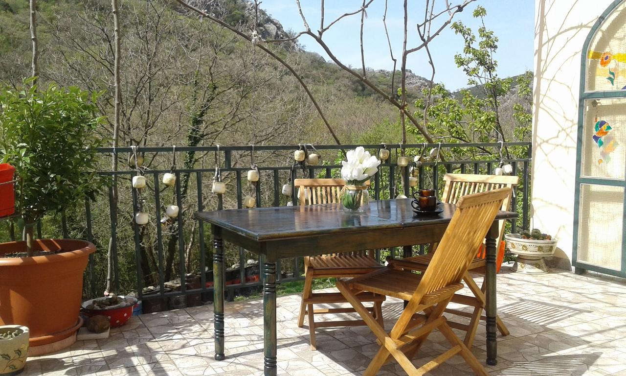 Danijela Apartmani Čanj Esterno foto
