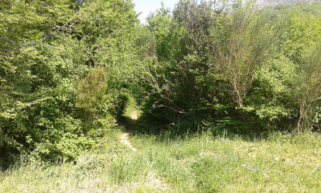 Danijela Apartmani Čanj Esterno foto