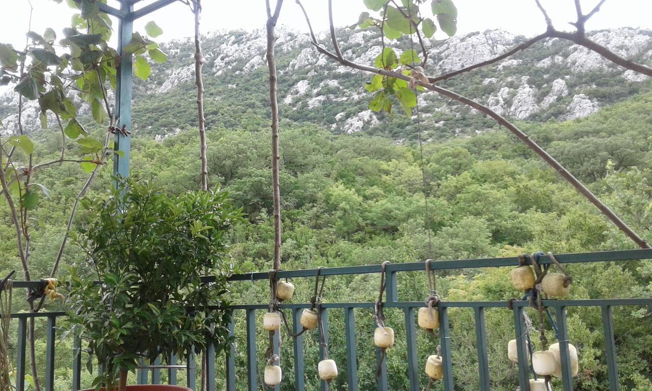 Danijela Apartmani Čanj Esterno foto